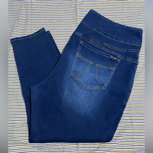 Seven7 Tummy Toning Skinny Blue Jeans Size 24W